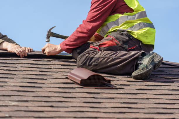 Best Shingle Roofing Installation  in Notre Dame, IN