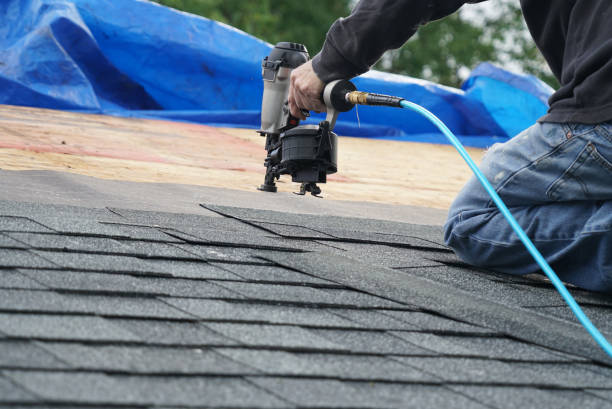 Best New Roof Installation  in Notre Dame, IN