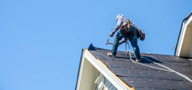 Best Best Roofing Contractors  in Notre Dame, IN